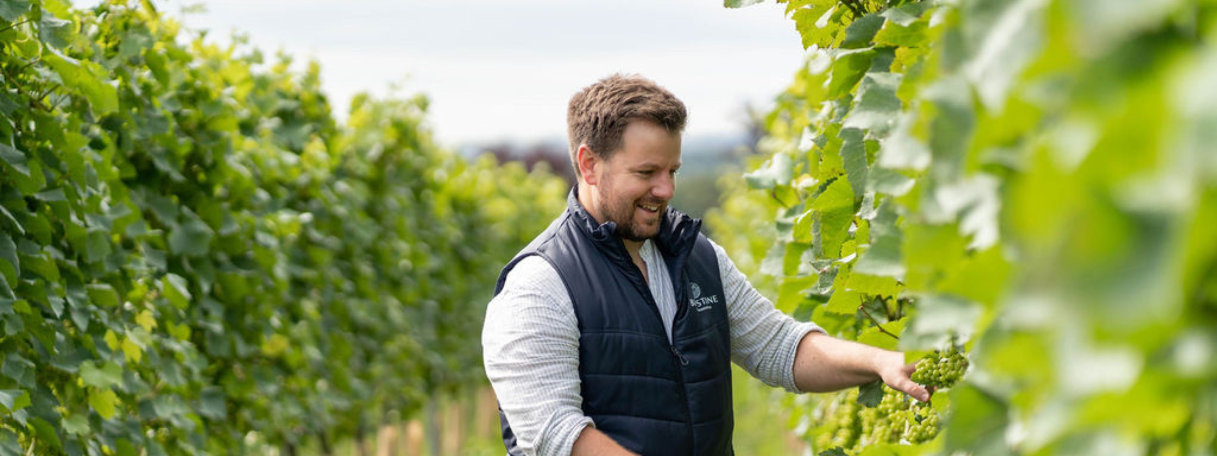 Meet Our Winemaker - Nat McConnell