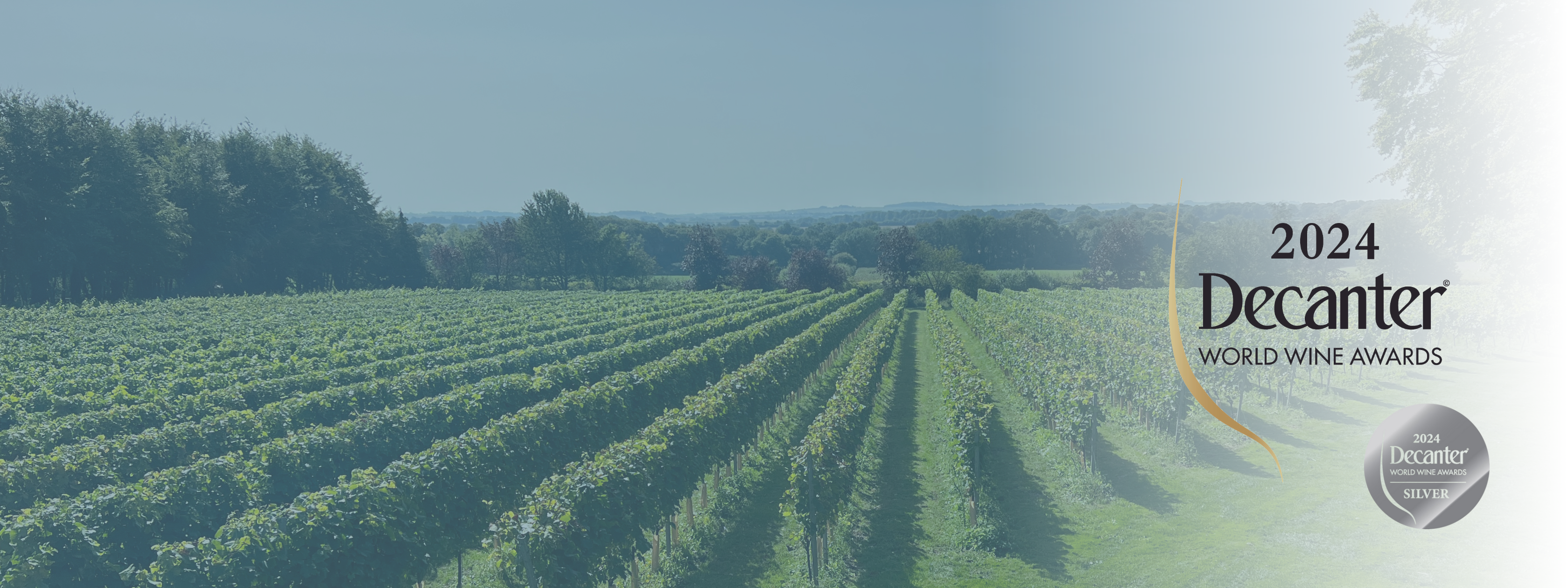 Bluestone Vineyards wins at Decanter World Wine Awards 2024