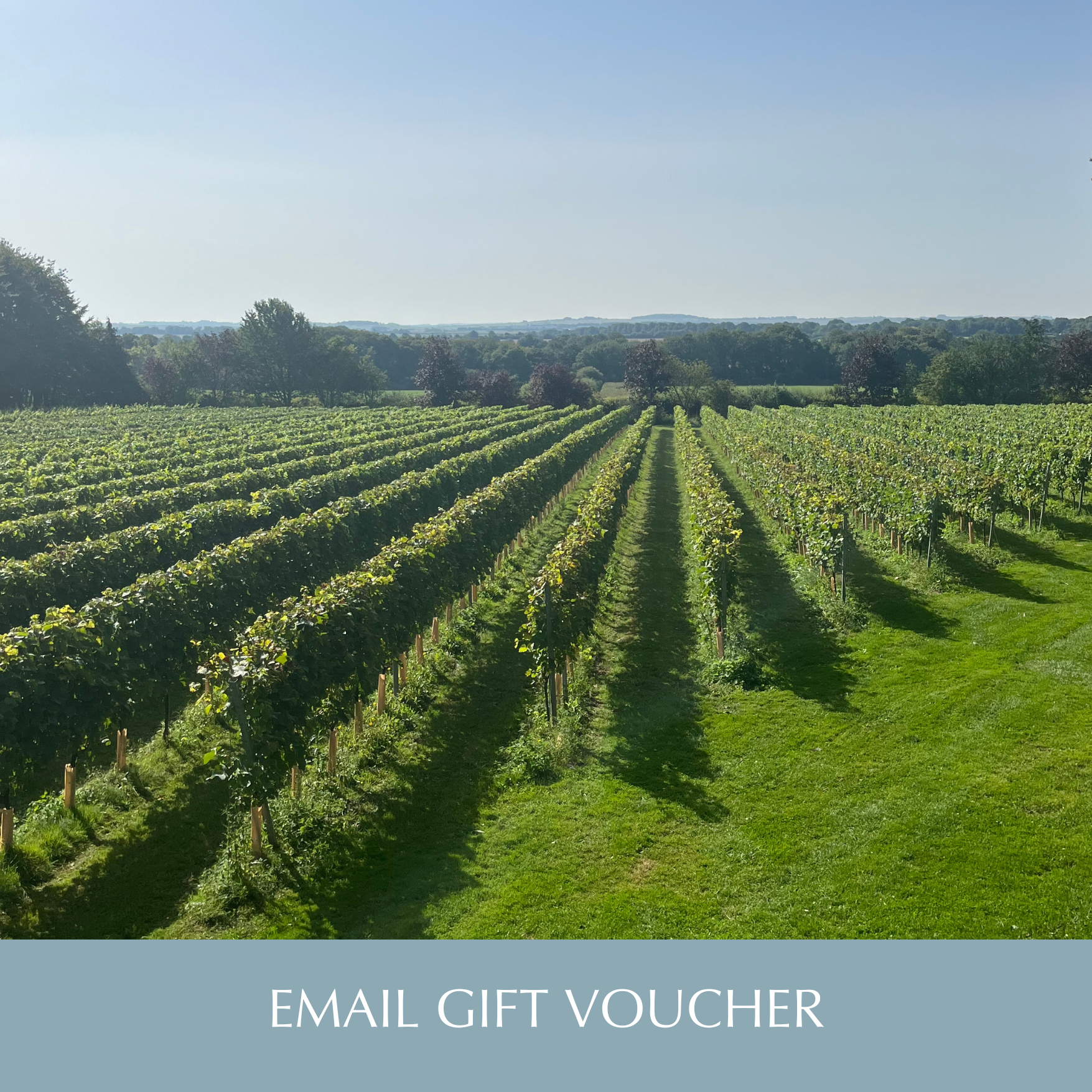 E-gift Cards by Bluestone Vineyards