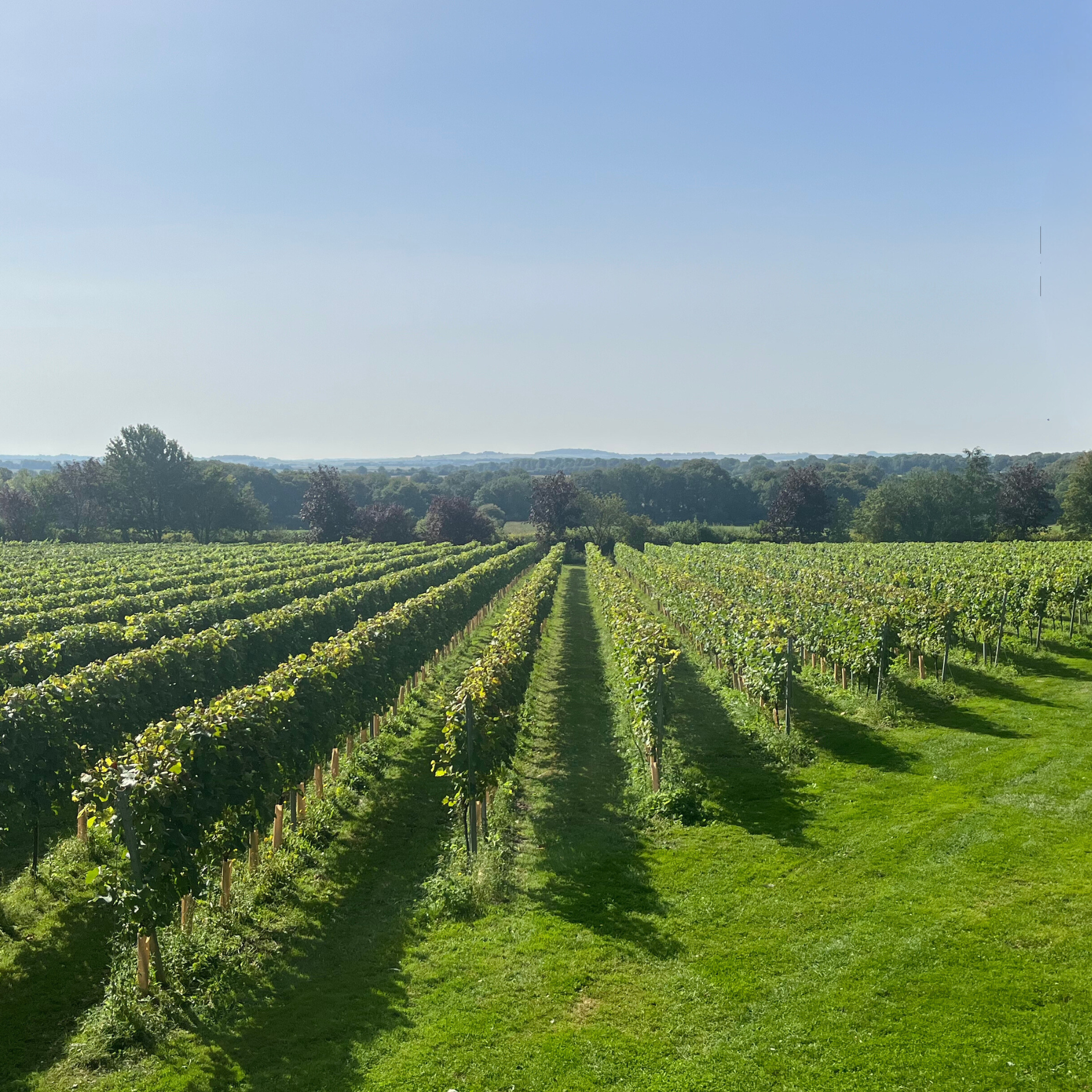 Signature Tour & Tasting