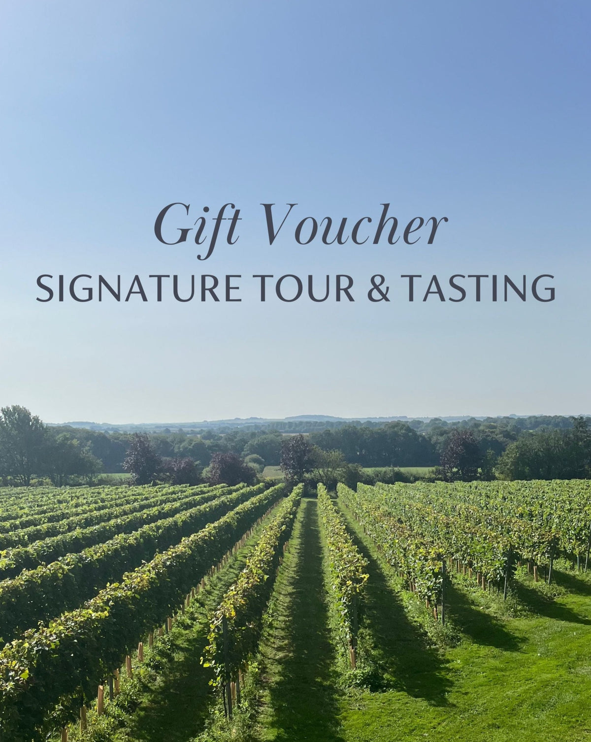 English Wine Bluestone Vineyards Gifting Range and Gift Cards