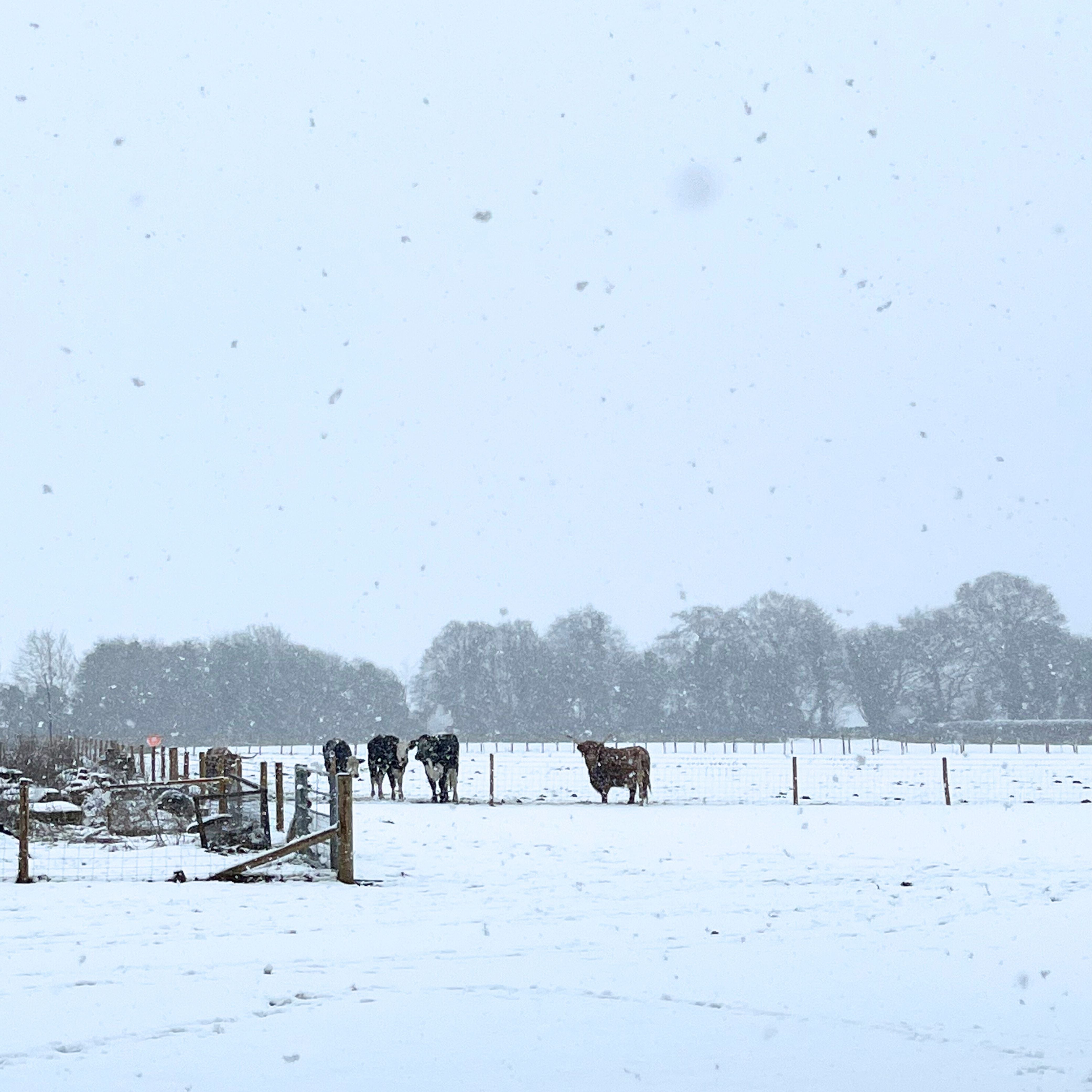 Signature Tour & Tasting: Winter Edition