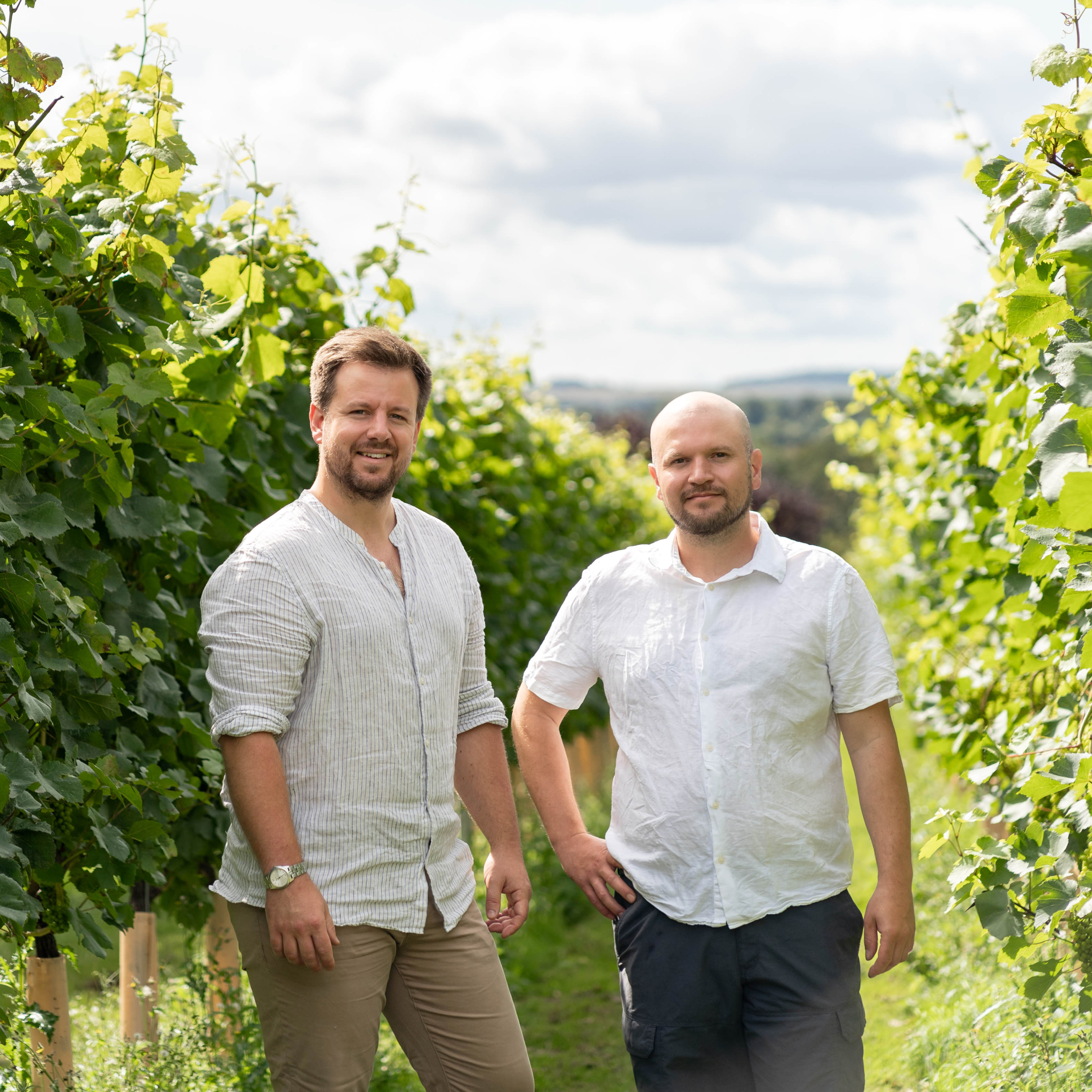 Brothers Nat & Toby McConnell, Co-founders of Bluestone Vineyards