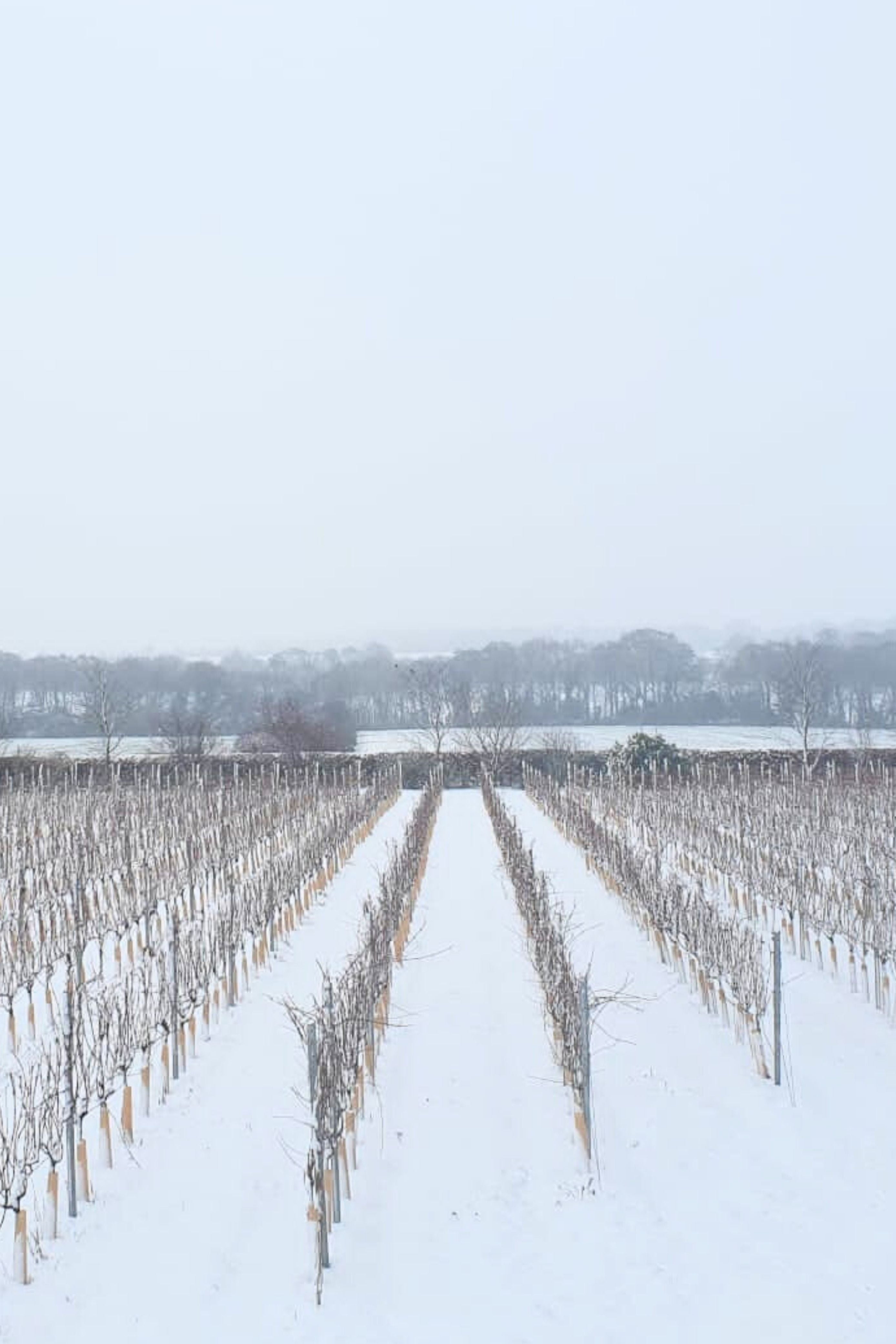 Signature Tour & Tasting: Winter Edition