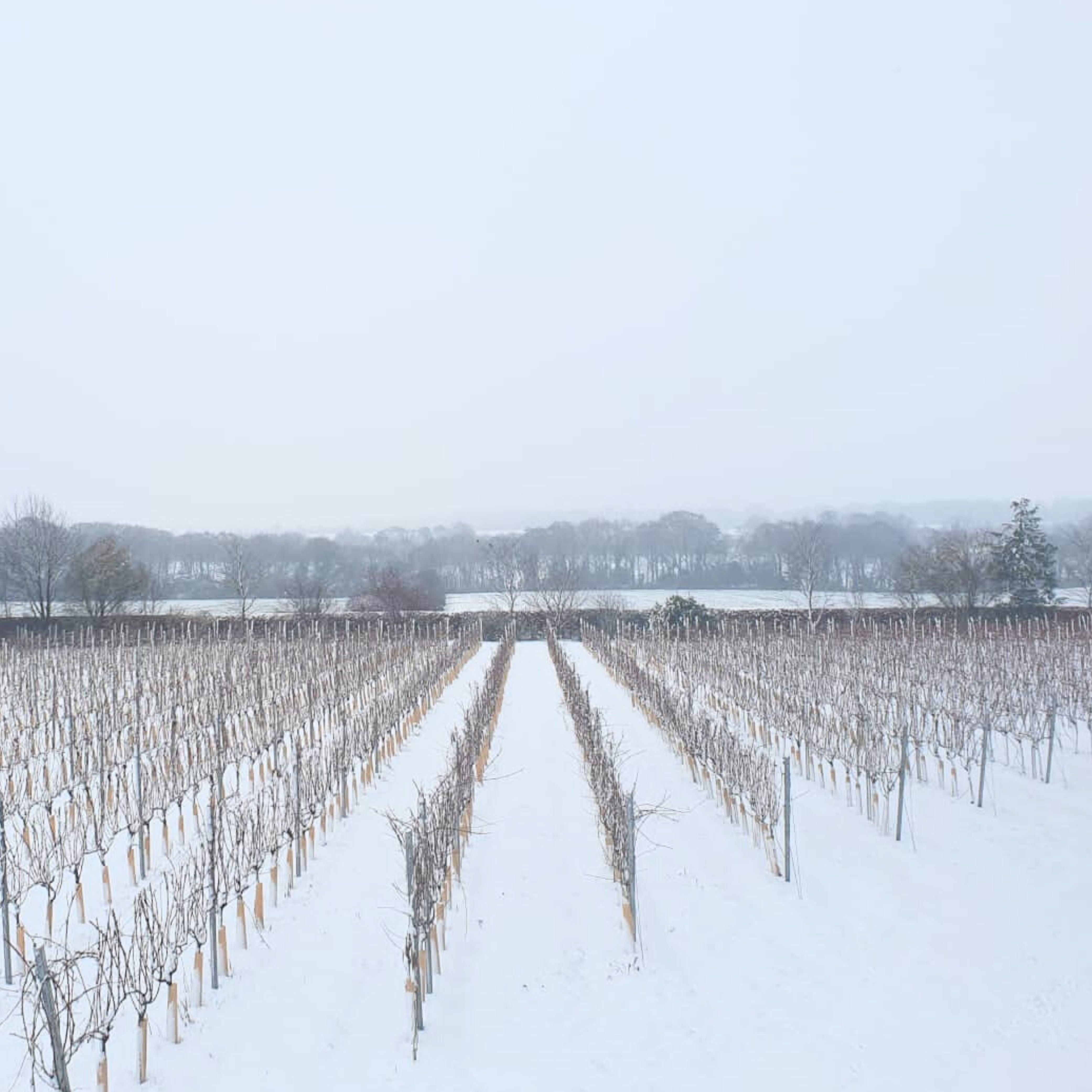 Signature Tour & Tasting: Winter Edition