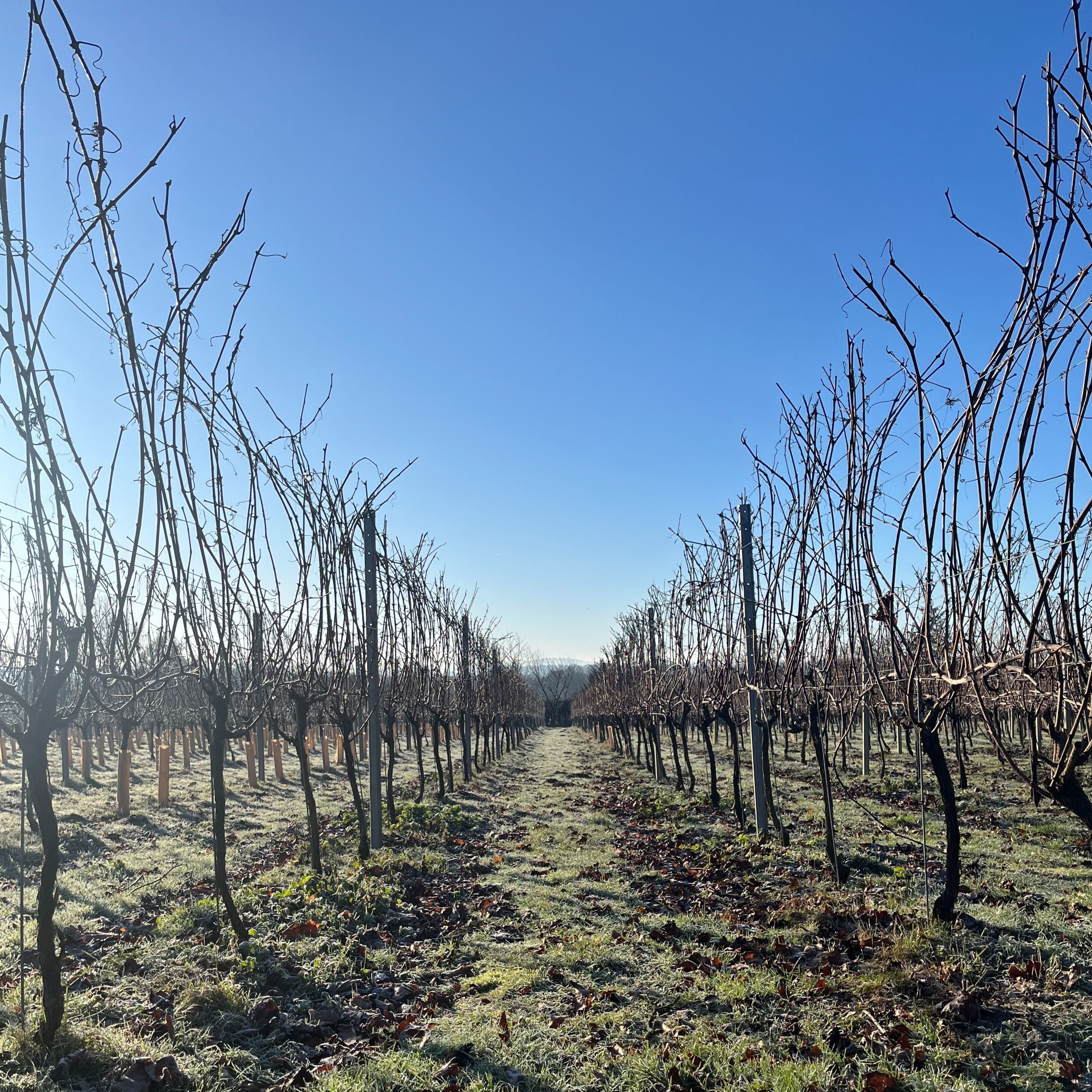 Signature Tour & Tasting: Winter Edition