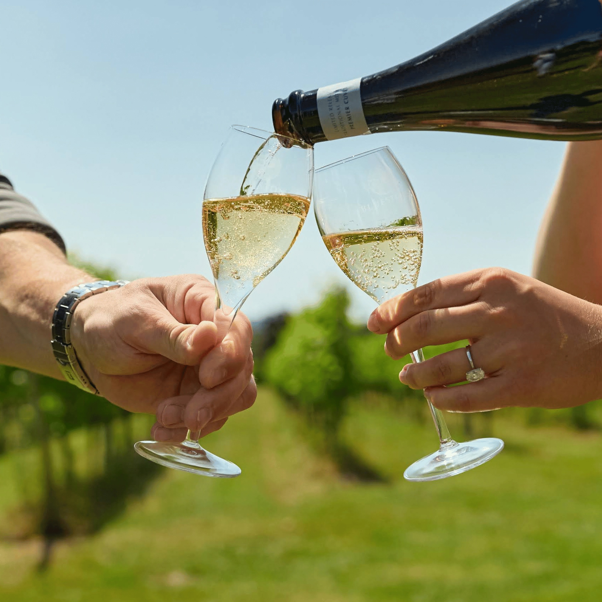 Sip & Stroll Vineyard Tour