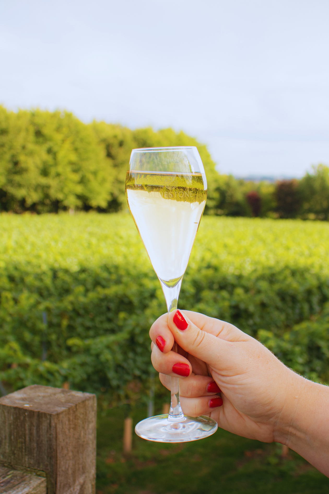 Sip & Stroll Vineyard Tour